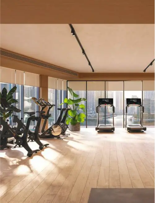The Wellness Studio